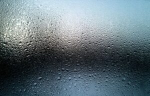 can car detailing remove mold